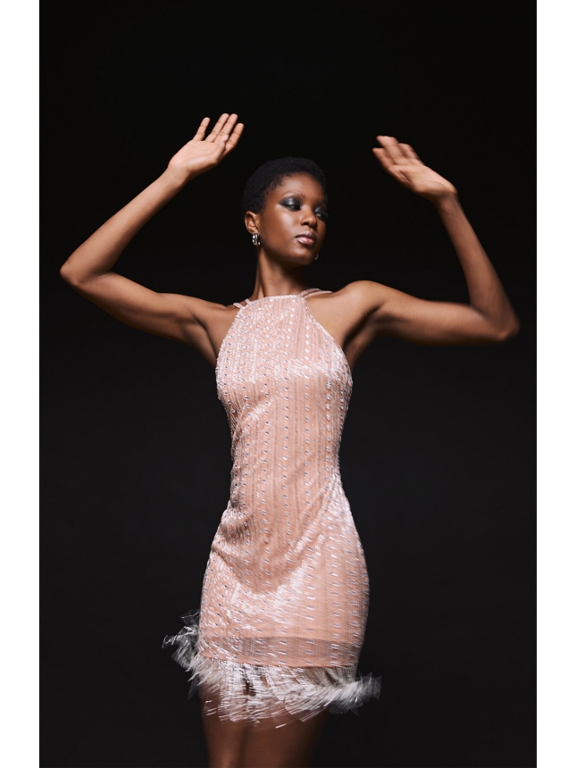 Allure Evening Embellished dress