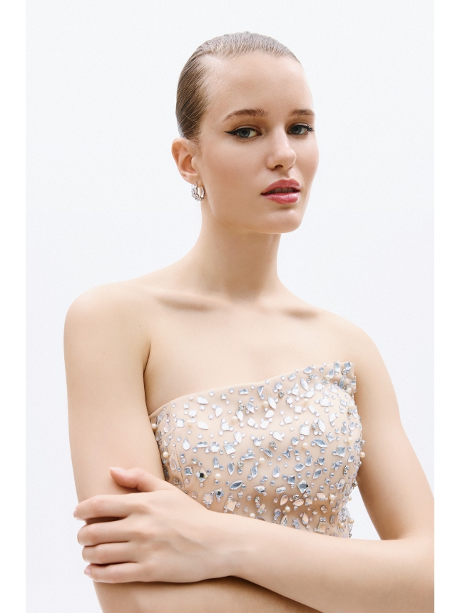 Allure Evenings beige embellished dress