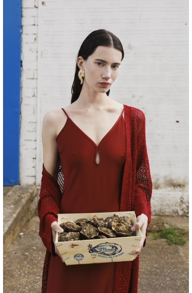 Diana Gallesi red dress