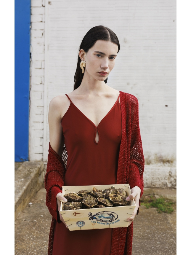 Diana Gallesi red dress