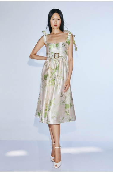 Twins Fantasy midi dress with print